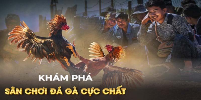 Sức hút khốc liệt khi trải nghiệm cựa dao cuốn hút 